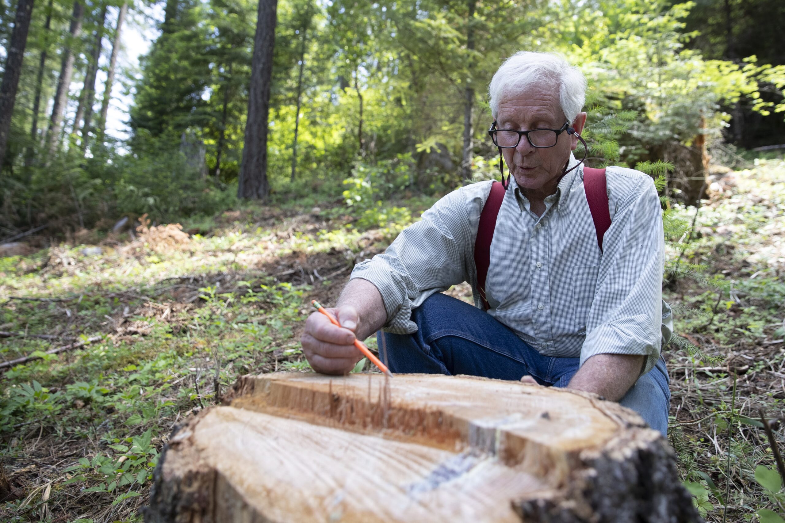 Grant Stringer - In Oregon Timber Country, a Town Buys the Surrounding Forests to Confront Climate-Driven Wildfires